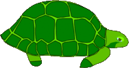 Ook deze schildpad is hartstikke blij